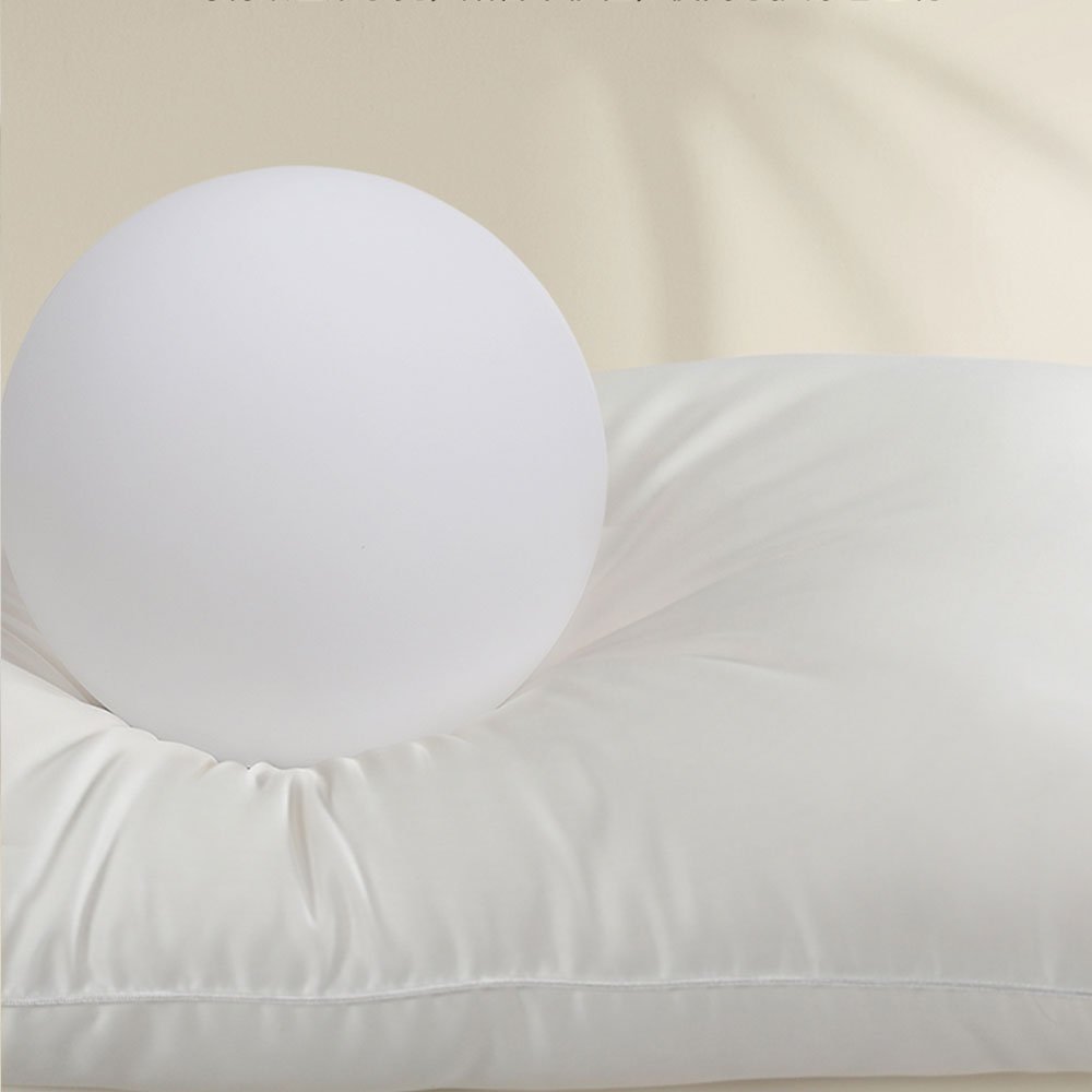 Filling Mulberry Silk Pillow With Cotton Pillowcase - Image 3