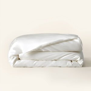 Silk Comforter & Pillow